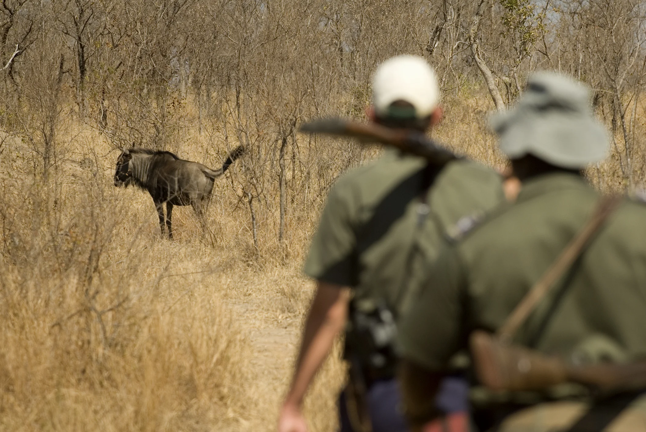 Field Ranger (NQF level 2)