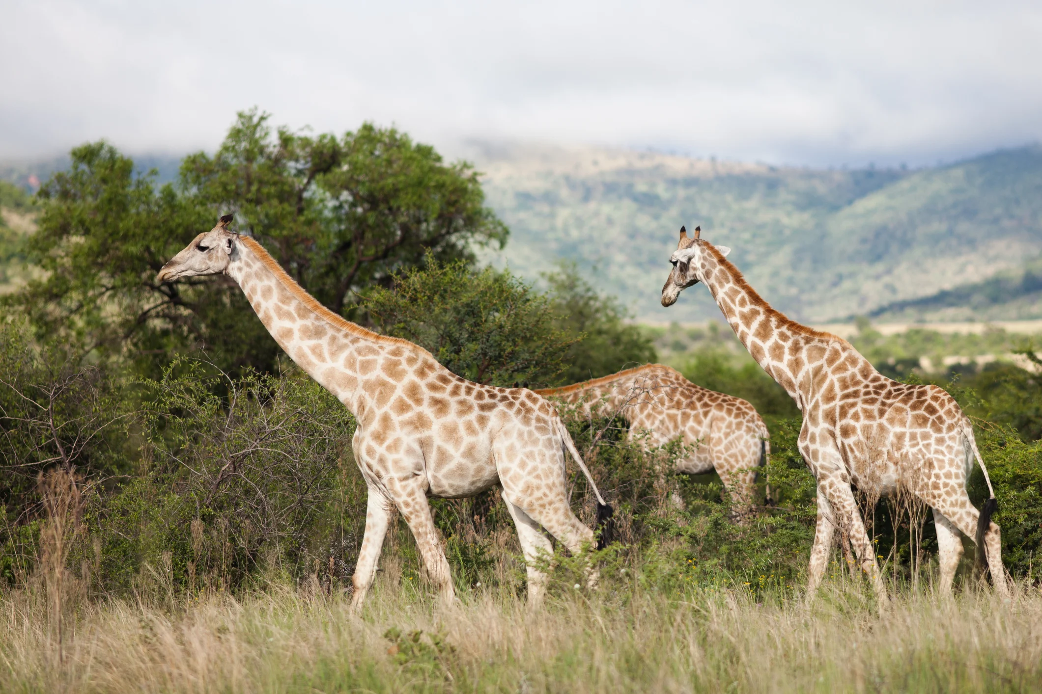 Nature Conservation: Natural Resource Guardianship (NQF Level 2)